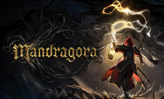 Mandragora